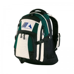 Arsw Laptop Backpacks