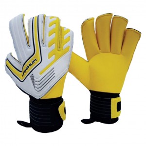 Arsw Goalkeeper Gloves